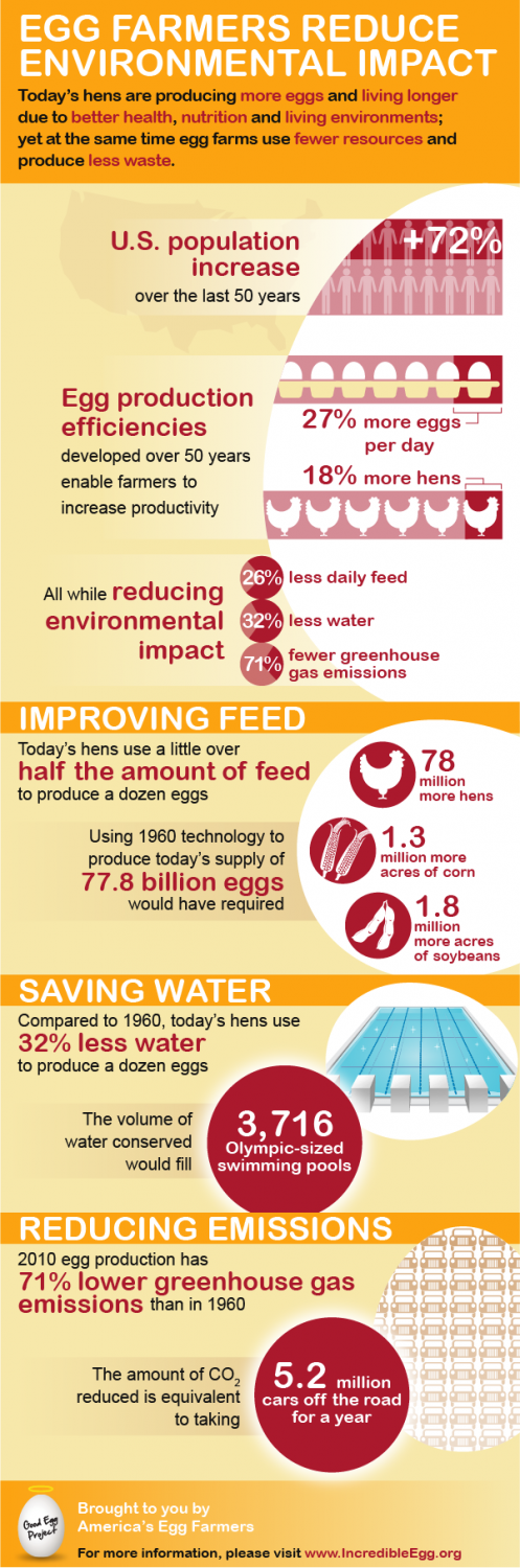 Infographic about the egg farmers that reduce environmental impact. Full text added below the image.