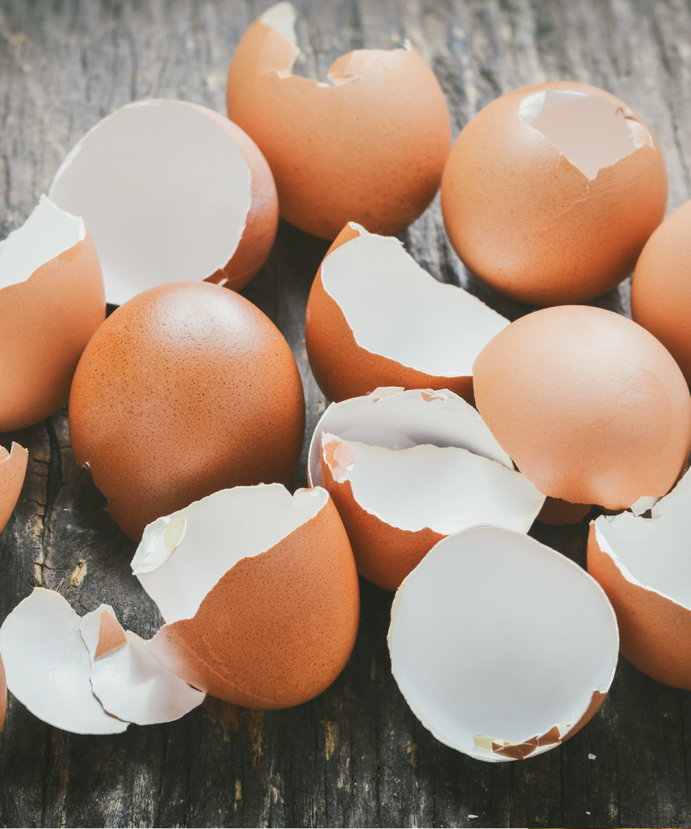 A small pile of broken brown egg shells