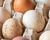 Close up of brown eggs and white eggs in an open egg carton