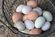 Cage-free free-range eggs in a wicker basket